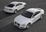 Audi A5 Coupe 3.0 TDI Quattro 2011 года (WW)